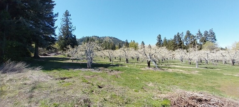 8010 Green Rd , Peshastin, WA 98847