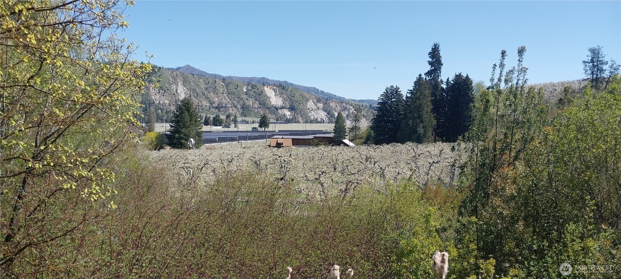 8010 Green Rd , Peshastin, WA 98847