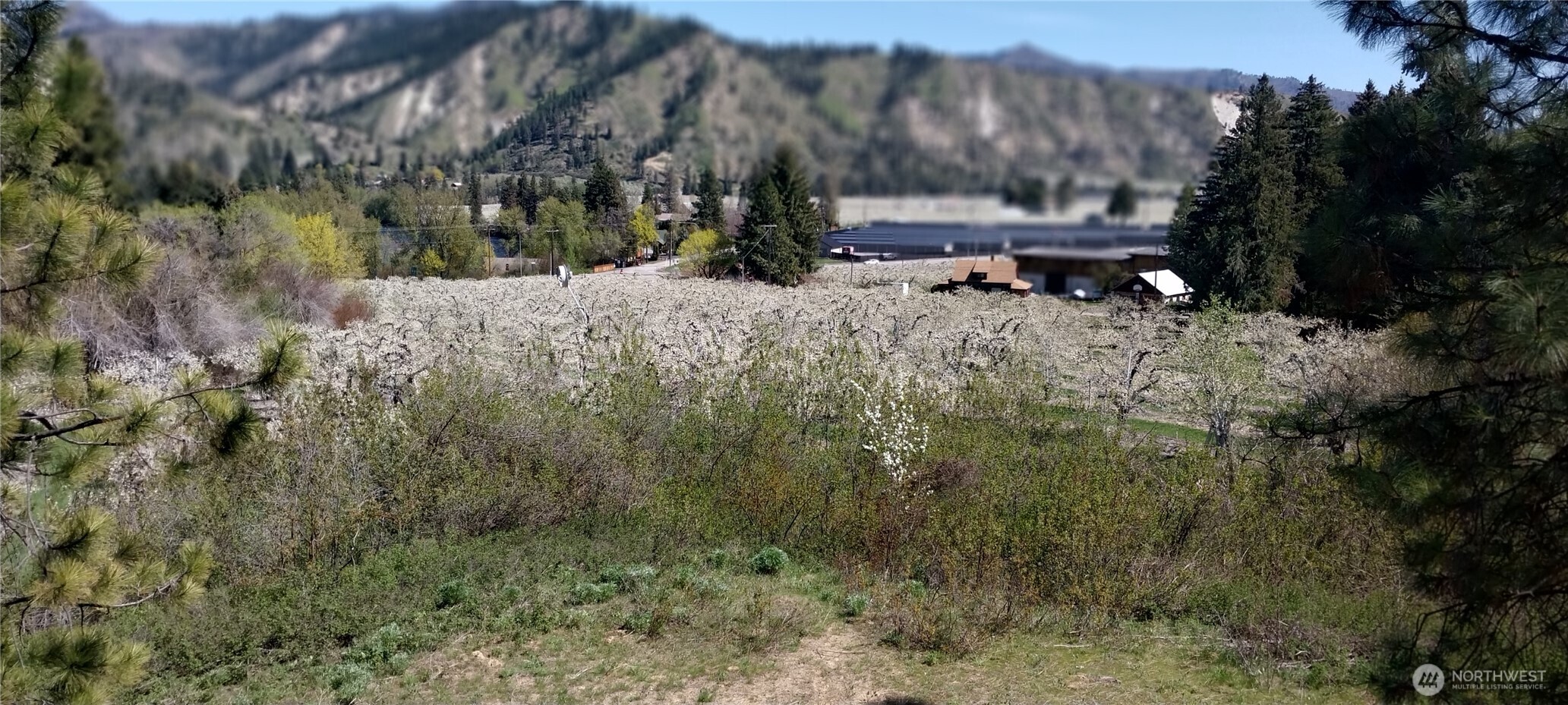 8010 Green Rd , Peshastin, WA 98847