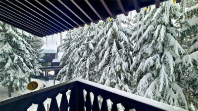 33613 E Crystal Mountain Boulevard #524, Enumclaw, WA 98022