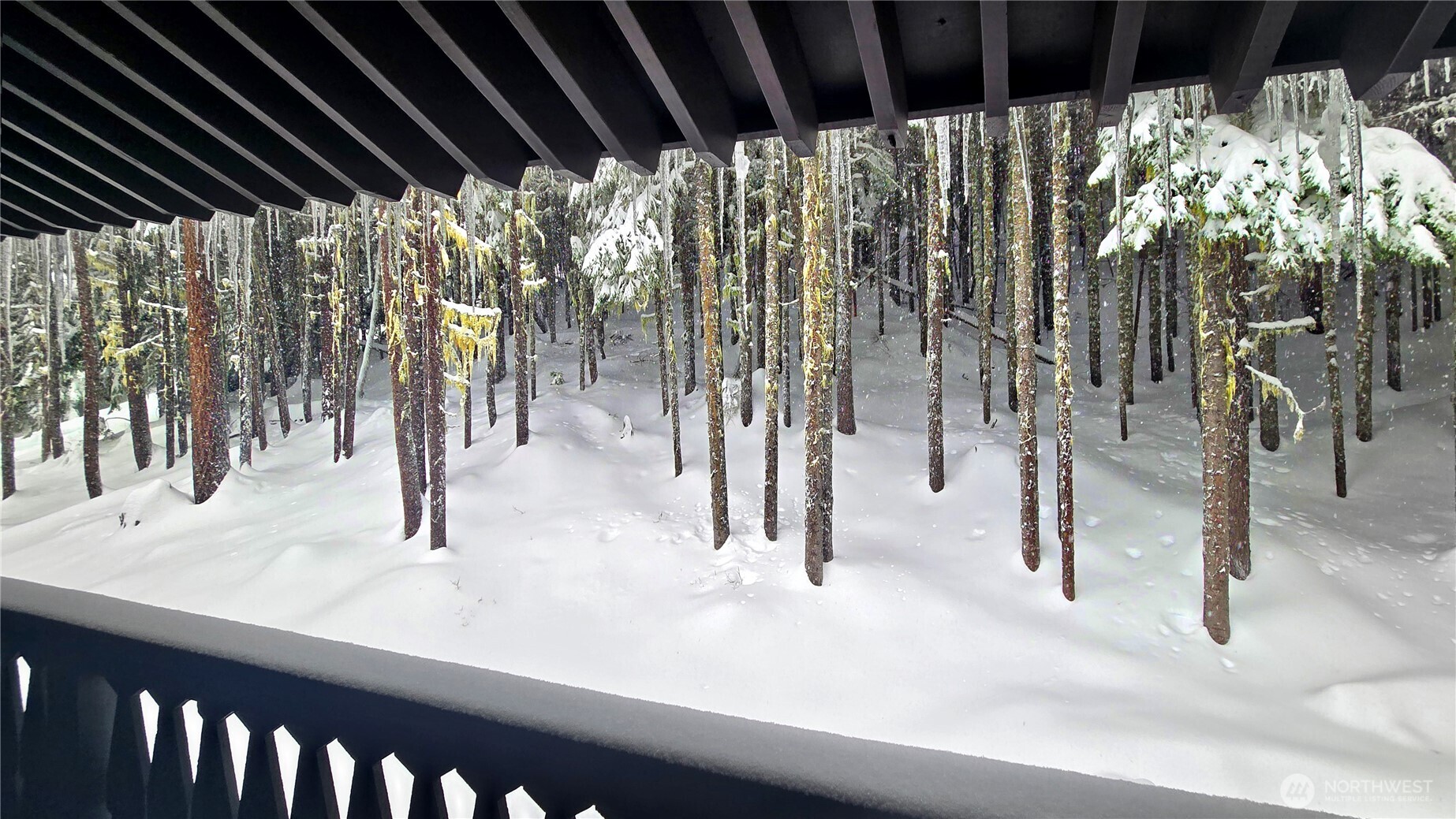 33613 E Crystal Mountain Boulevard #524, Enumclaw, WA 98022