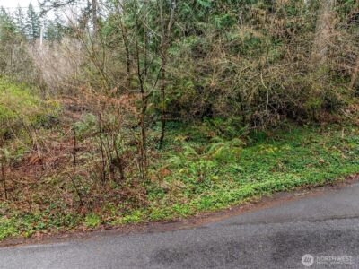 32617 Benbow Drive E, Graham, WA 98338 - Photo 4