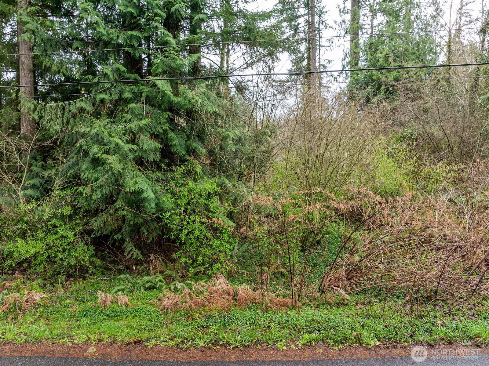 32617 Benbow Drive E, Graham, WA 98338