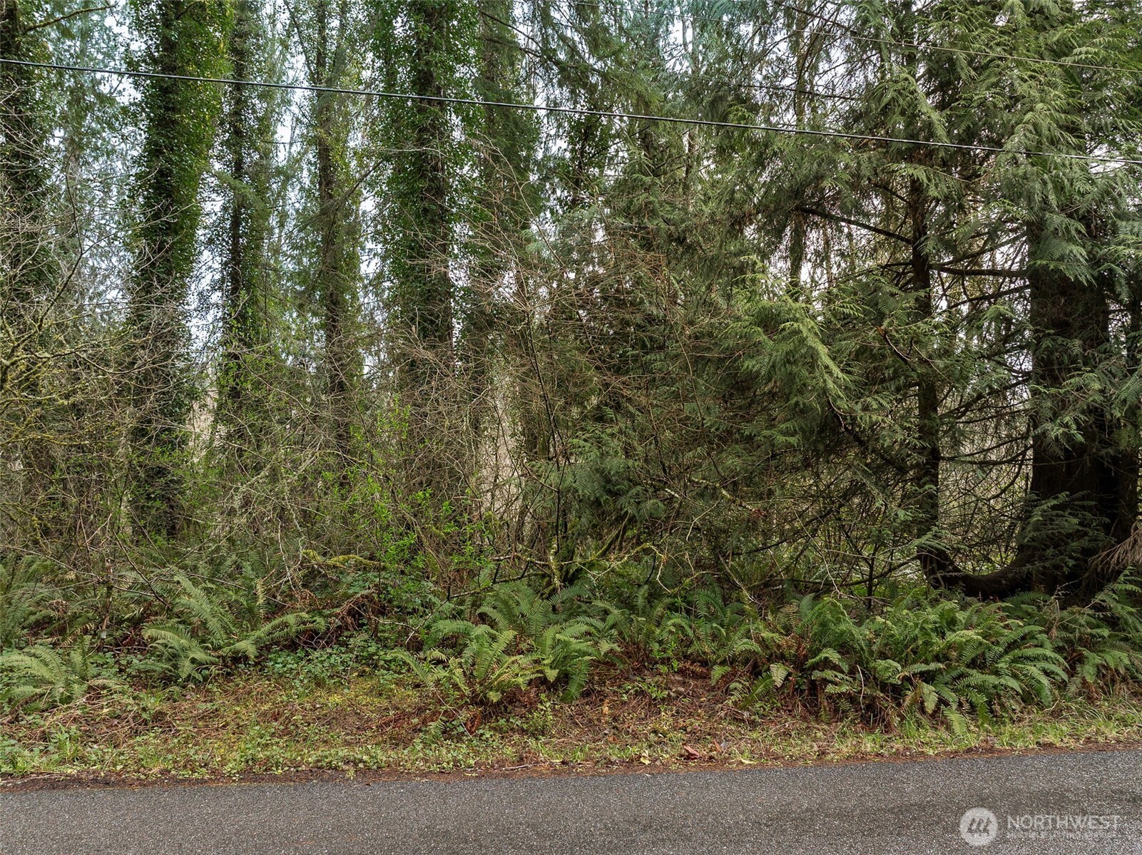 32621 Benbow Drive E, Graham, WA 98338