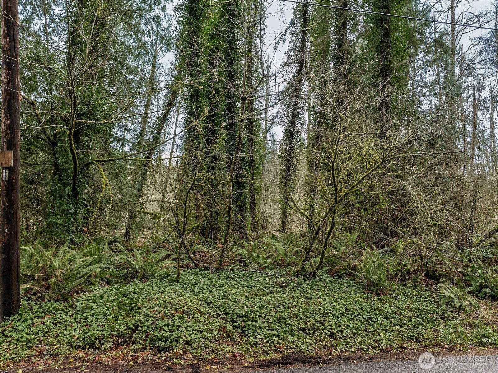 32621 Benbow Drive E, Graham, WA 98338