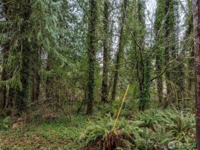 32621 Benbow Drive E, Graham, WA 98338 - Photo 6