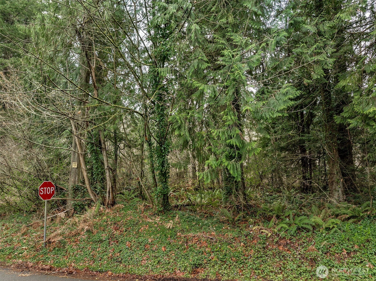 32621 Benbow Drive E, Graham, WA 98338