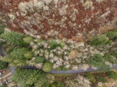 32621 Benbow Drive E, Graham, WA 98338 - Photo 10