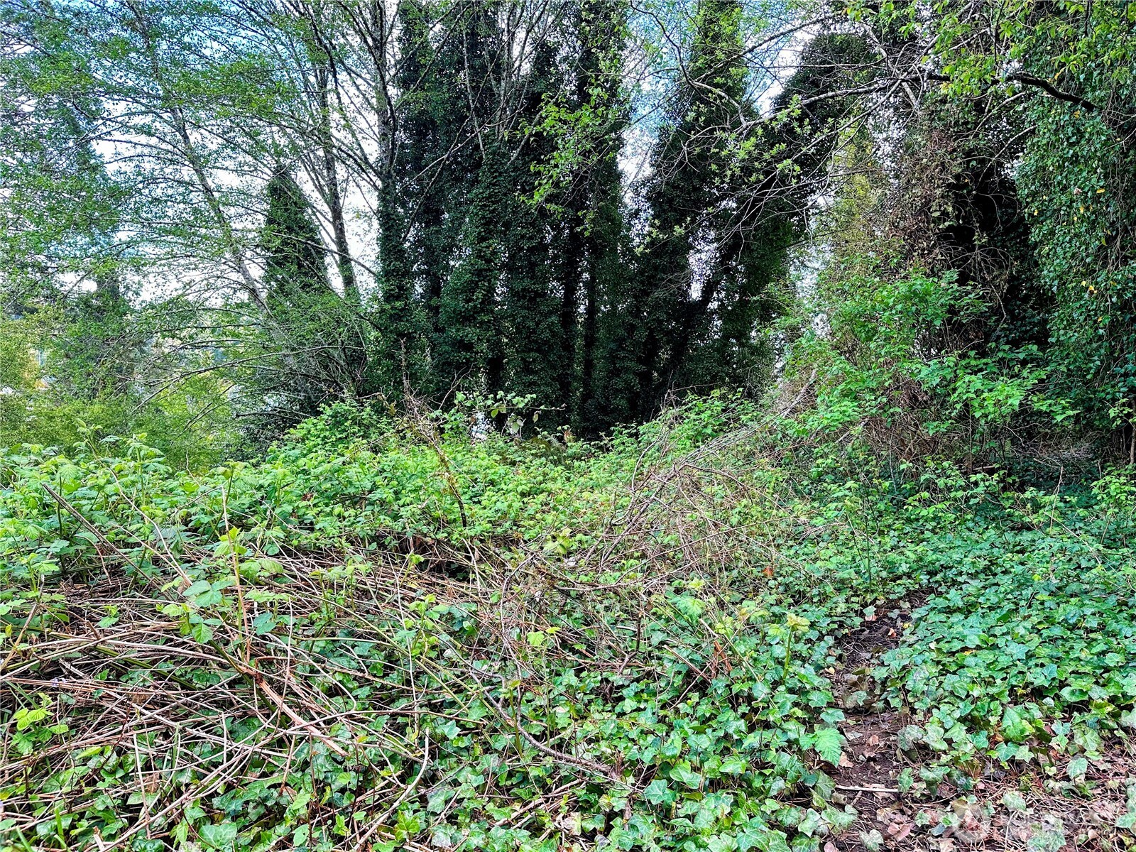 816 Terrace Avenue , Aberdeen, WA 98520