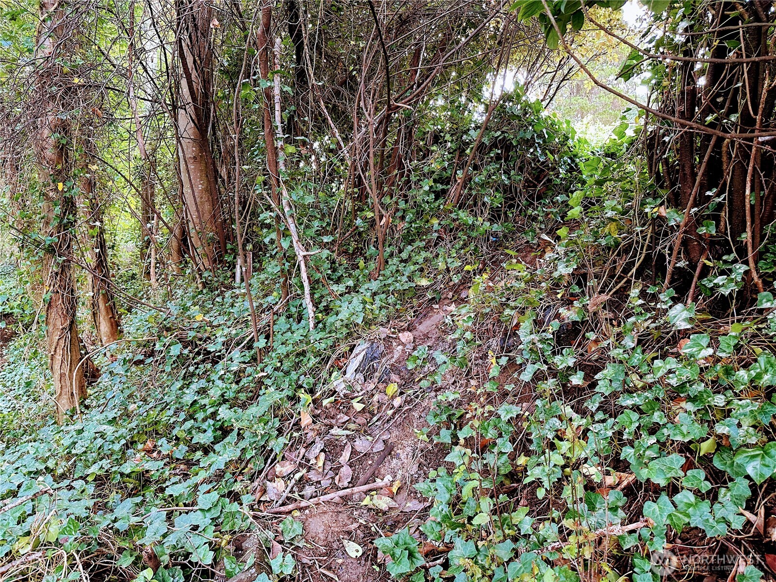 816 Terrace Avenue , Aberdeen, WA 98520