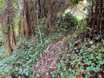 816 Terrace Avenue , Aberdeen, WA 98520 - Photo 11