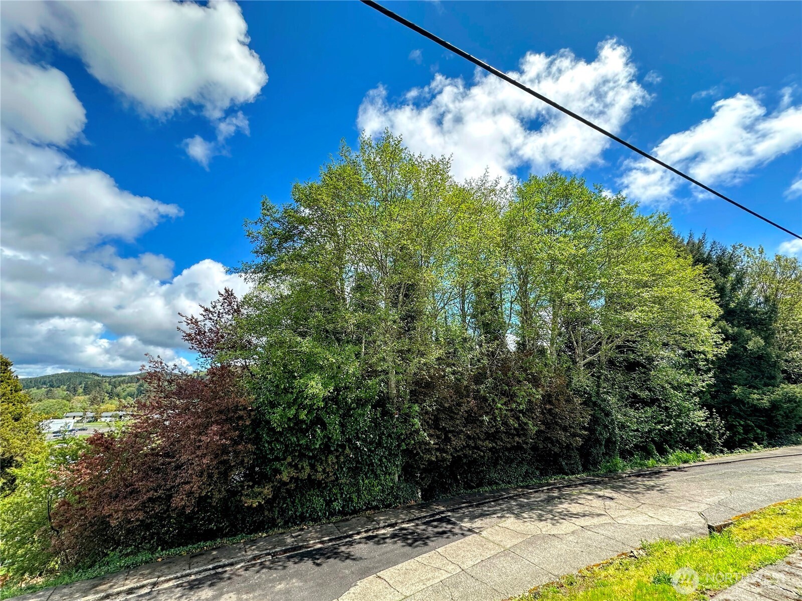 816 Terrace Avenue , Aberdeen, WA 98520