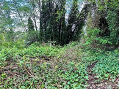 816 Terrace Avenue , Aberdeen, WA 98520 - Photo 2