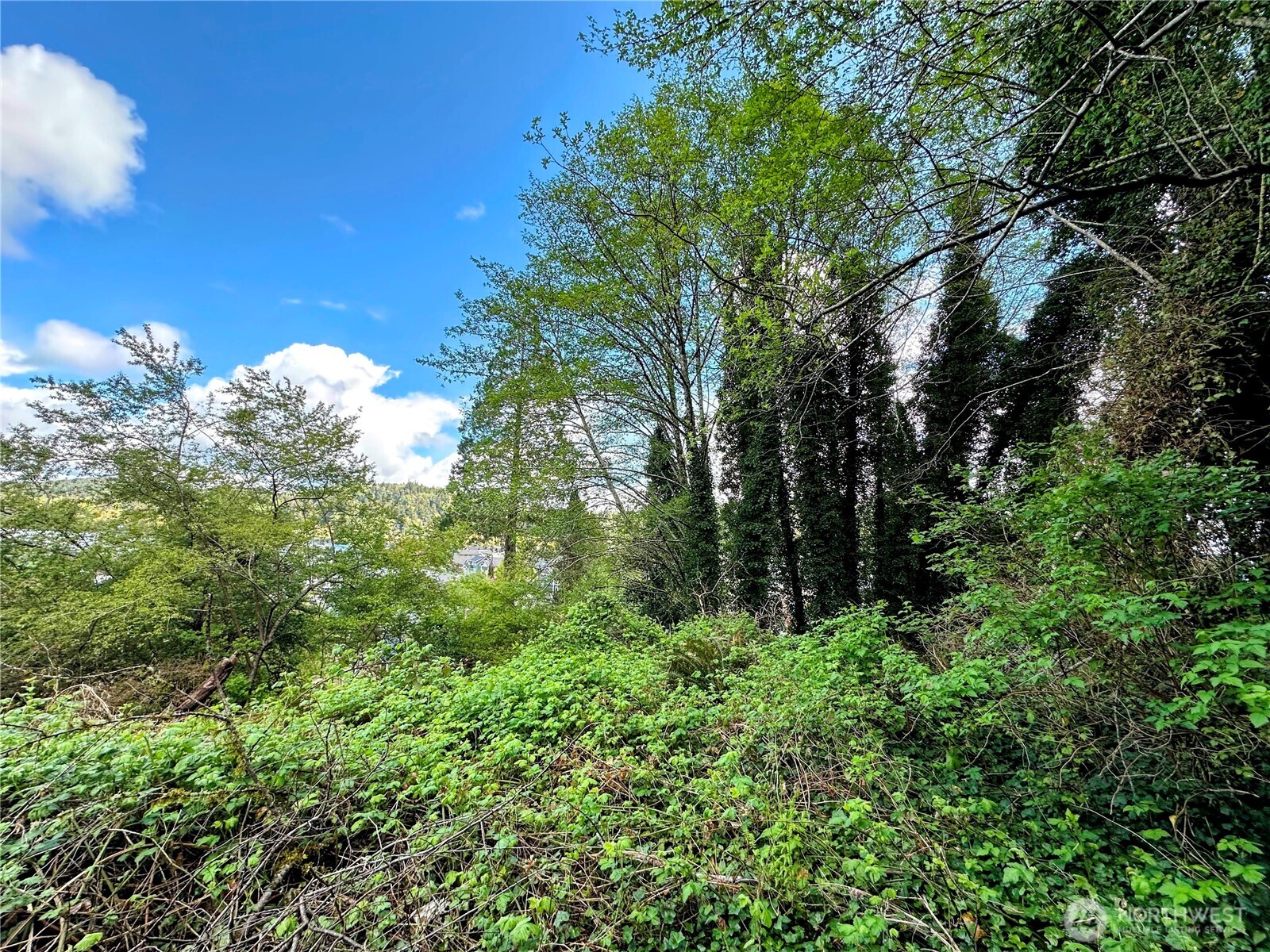 816 Terrace Avenue , Aberdeen, WA 98520