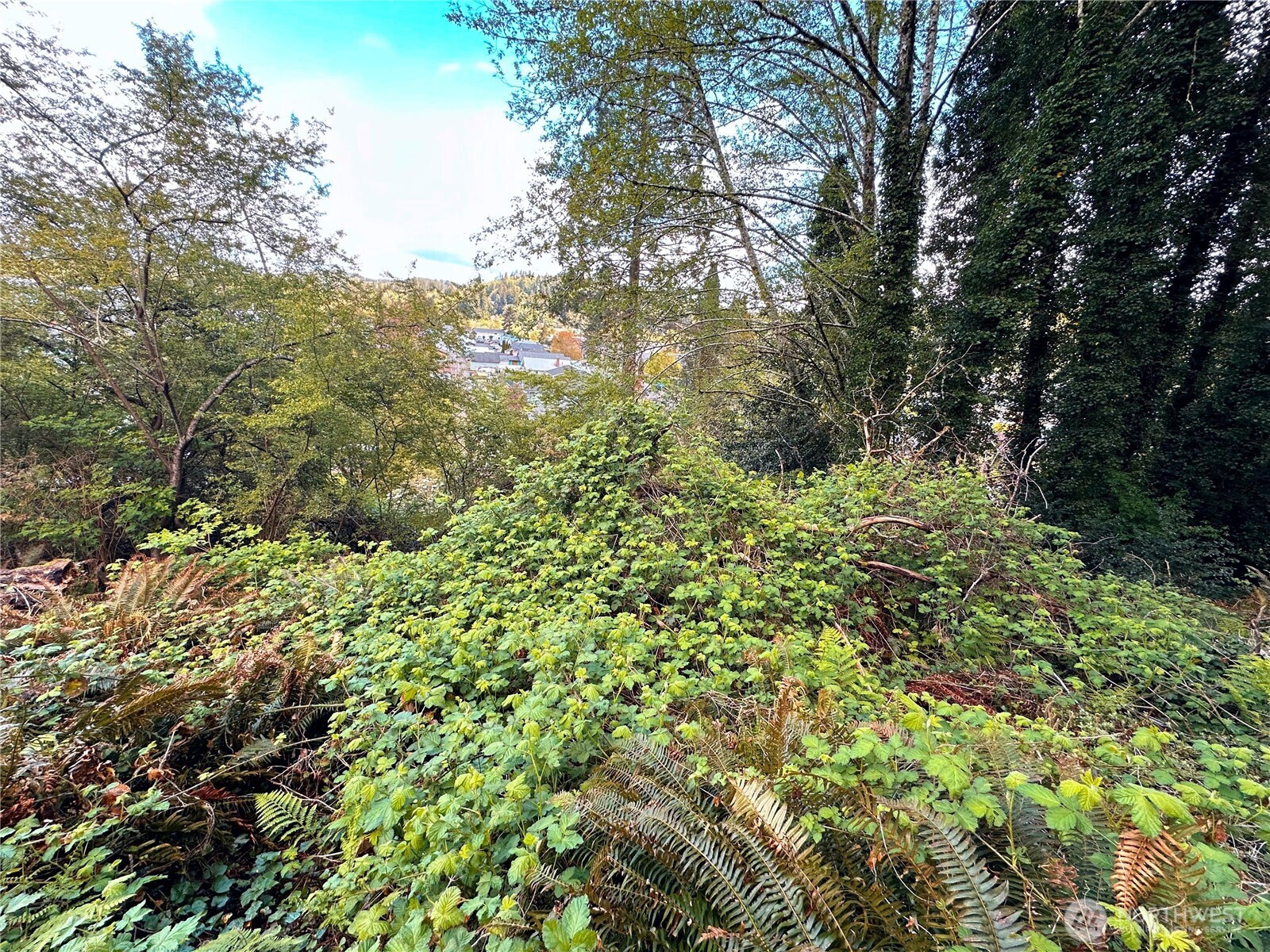 816 Terrace Avenue , Aberdeen, WA 98520