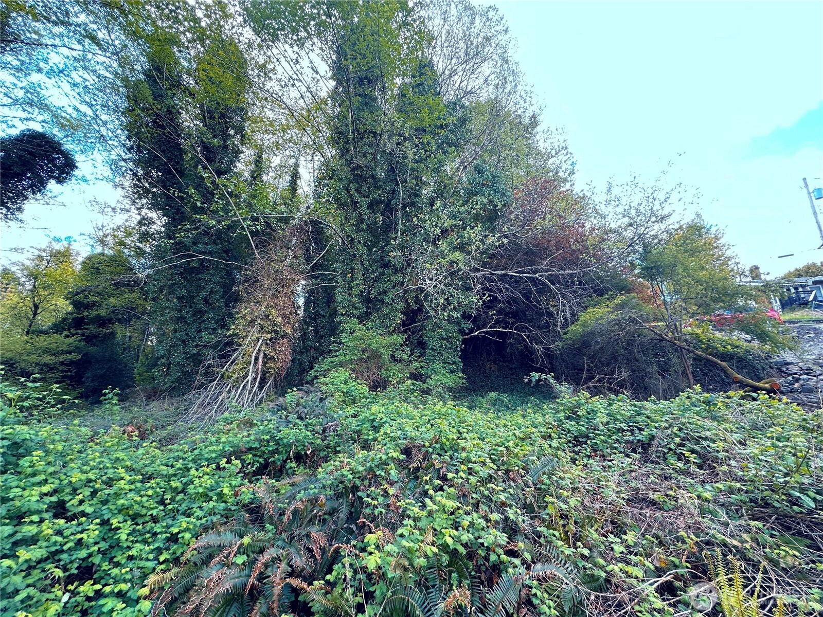 816 Terrace Avenue , Aberdeen, WA 98520