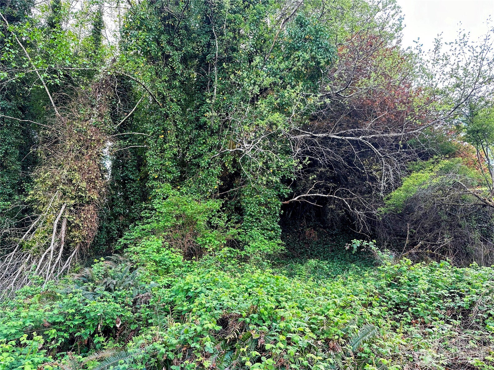 816 Terrace Avenue , Aberdeen, WA 98520