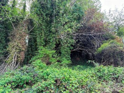 816 Terrace Avenue , Aberdeen, WA 98520 - Photo 7