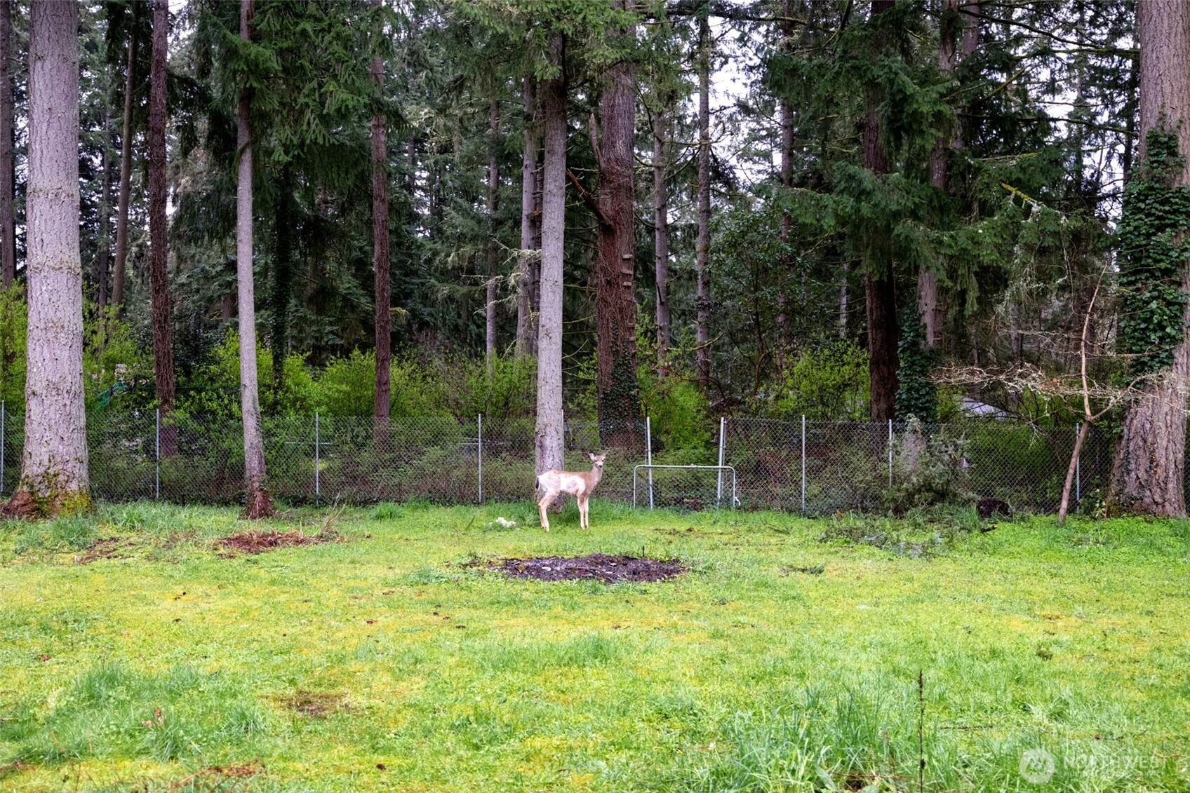 3342 Stanford Court SE, Lacey, WA 98503