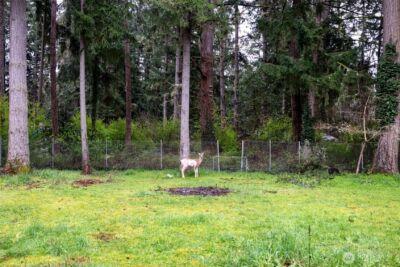 3342 Stanford Court SE, Lacey, WA 98503 - Photo 22
