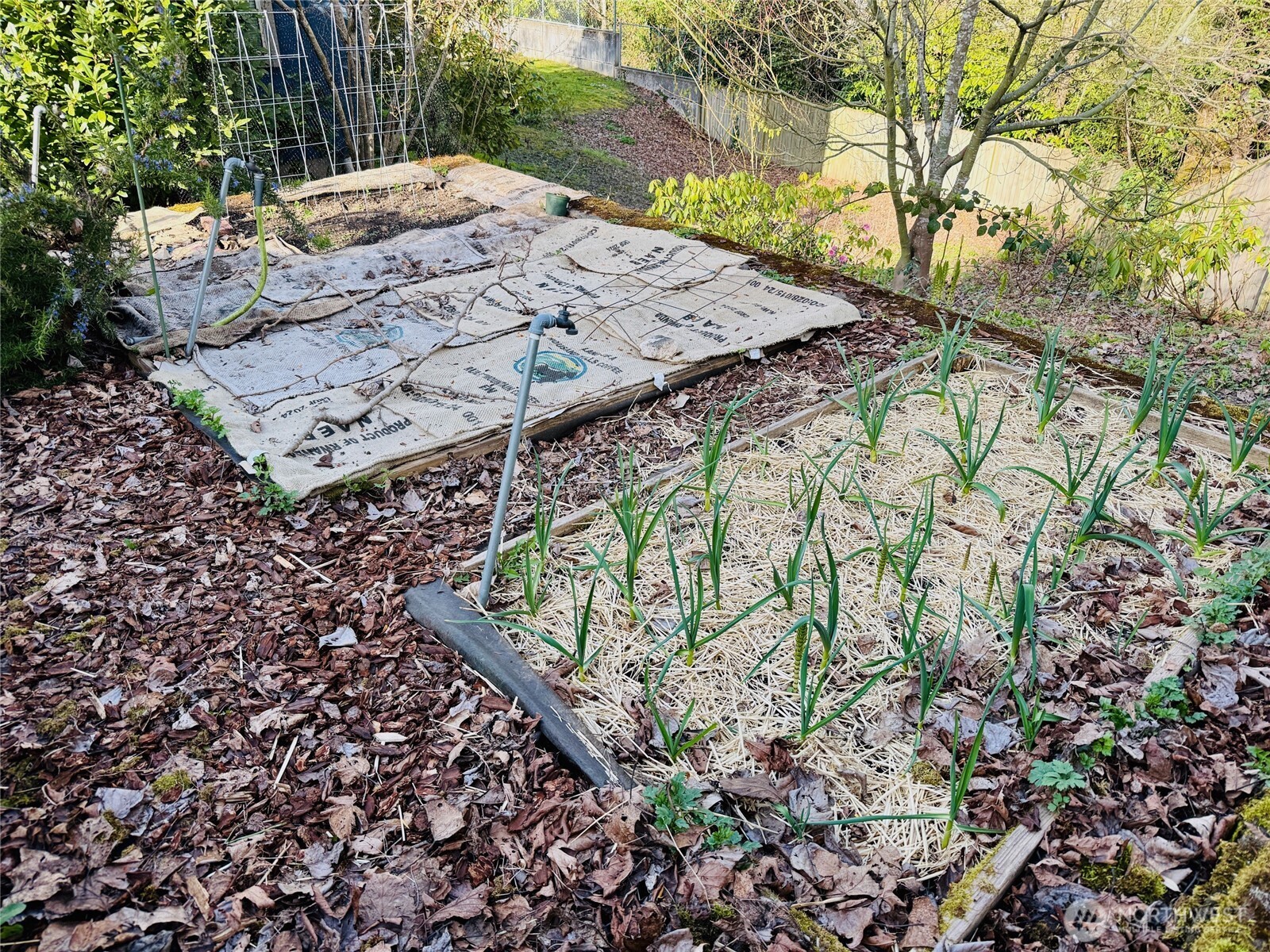 2815 24th Avenue S, Seattle, WA 98144-5313