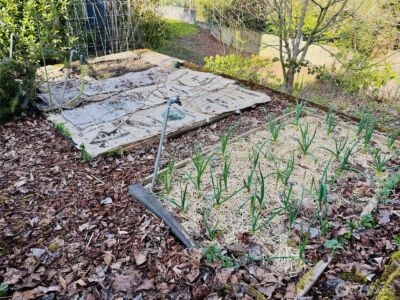 2815 24th Avenue S, Seattle, WA 98144-5313 - Photo 28