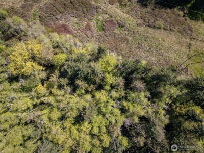 0 Roy Street #600, Port Angeles, WA 98362 - Photo 21