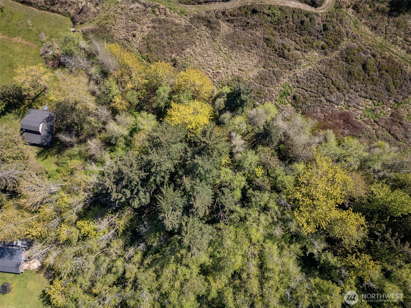 0 Roy Street #600, Port Angeles, WA 98362