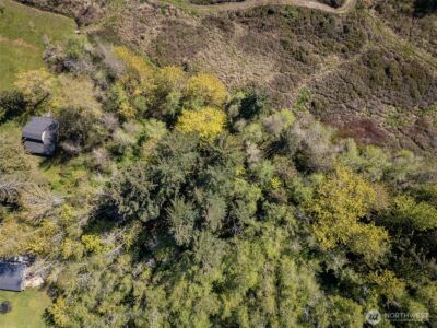 0 Roy Street #600, Port Angeles, WA 98362 - Photo 22