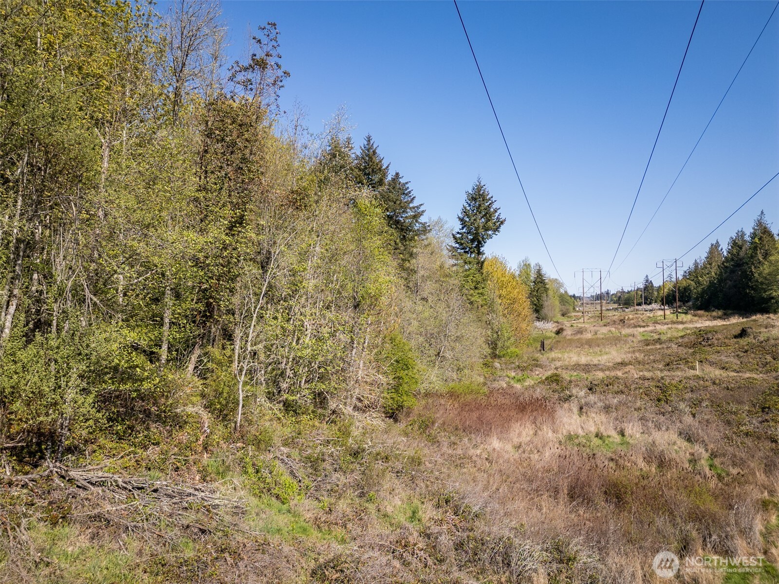 0 Roy Street #600, Port Angeles, WA 98362