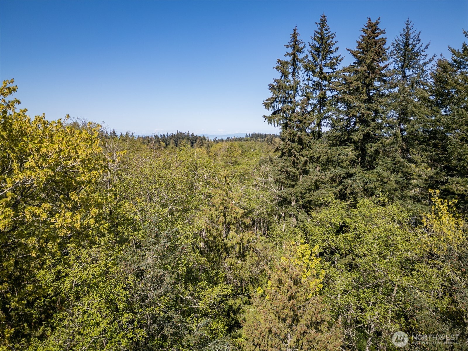 0 Roy Street #600, Port Angeles, WA 98362