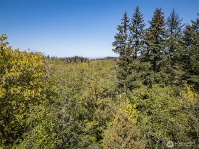 0 Roy Street #600, Port Angeles, WA 98362 - Photo 24