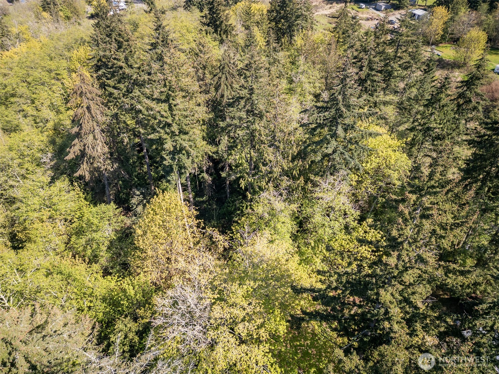 0 Roy Street #600, Port Angeles, WA 98362