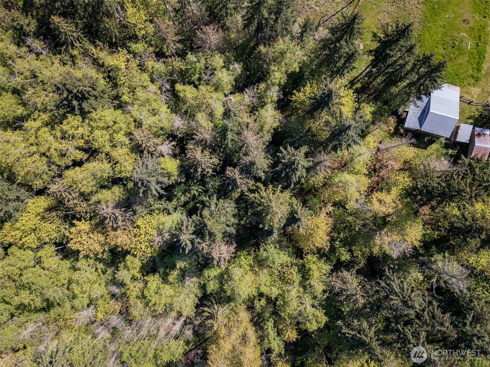 0 Roy Street #388, Port Angeles, WA 98362