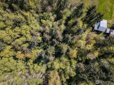 0 Roy Street #388, Port Angeles, WA 98362 - Photo 24