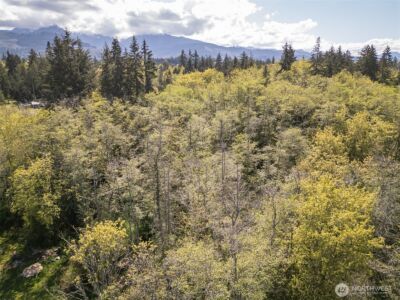 0 Roy Street #388, Port Angeles, WA 98362 - Photo 25