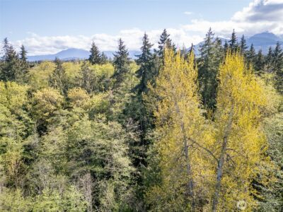 0 Roy Street #388, Port Angeles, WA 98362 - Photo 26