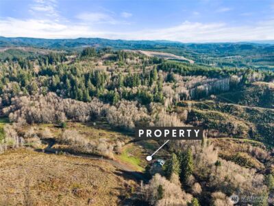 138 Ward Creek Rd , Raymond, WA 98577 - Photo 12