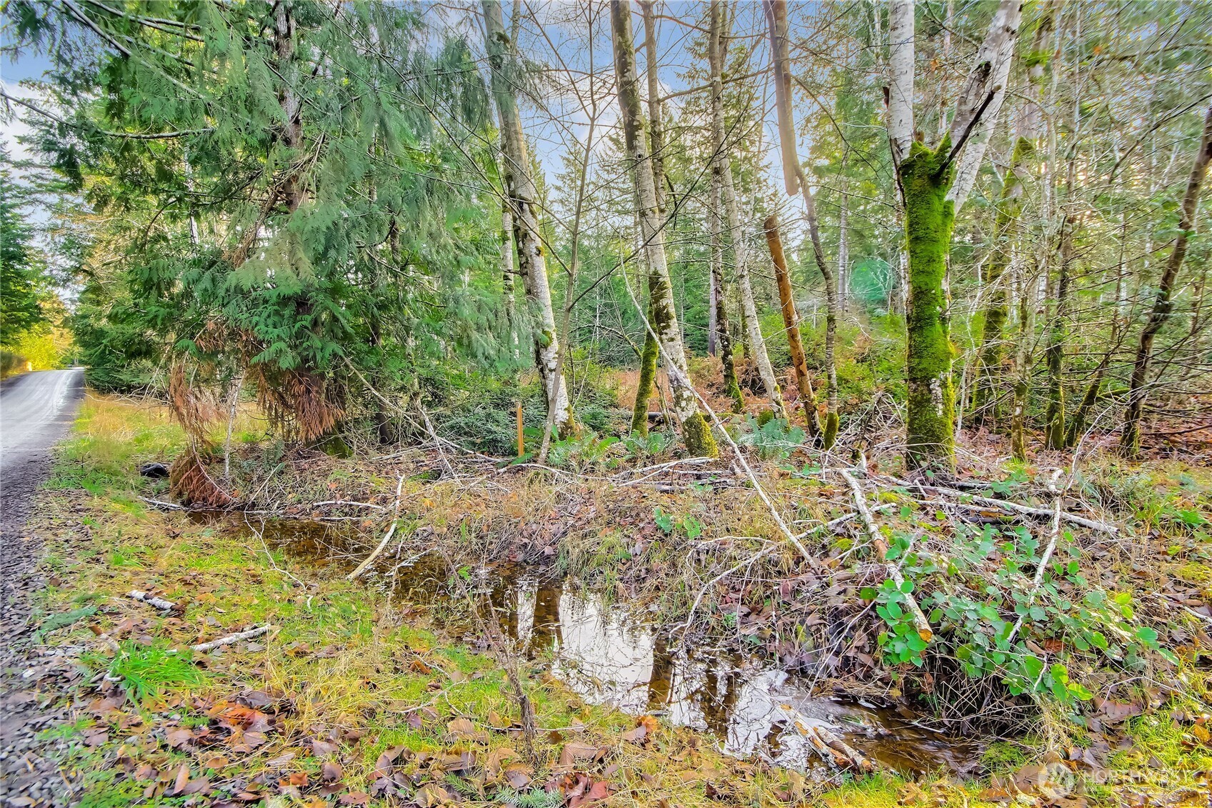 1 E Jared Road , Shelton, WA 98584