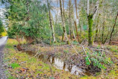 1 E Jared Road , Shelton, WA 98584 - Photo 3