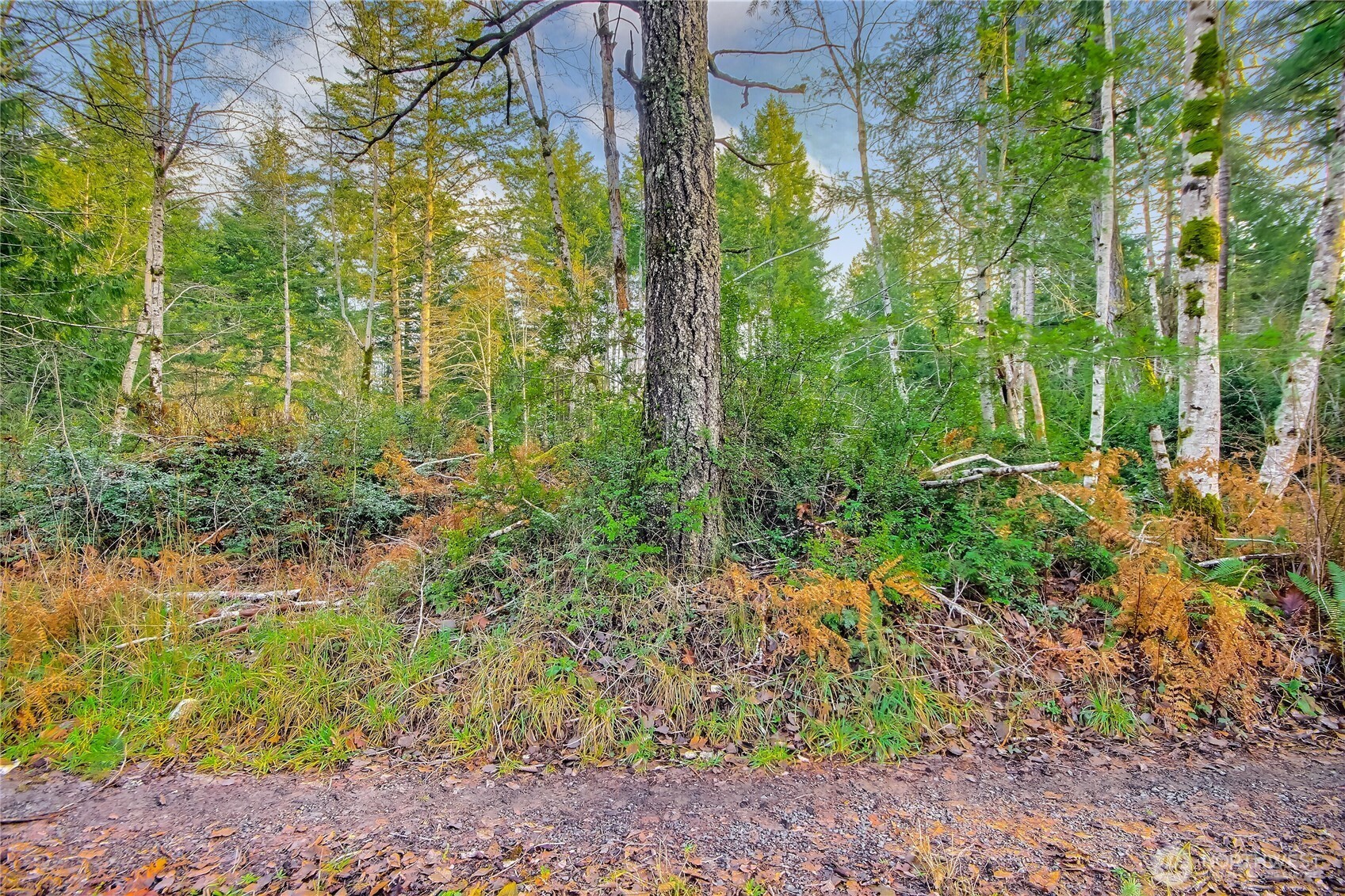 1 E Jared Road , Shelton, WA 98584