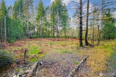 1 E Jared Road , Shelton, WA 98584 - Photo 8