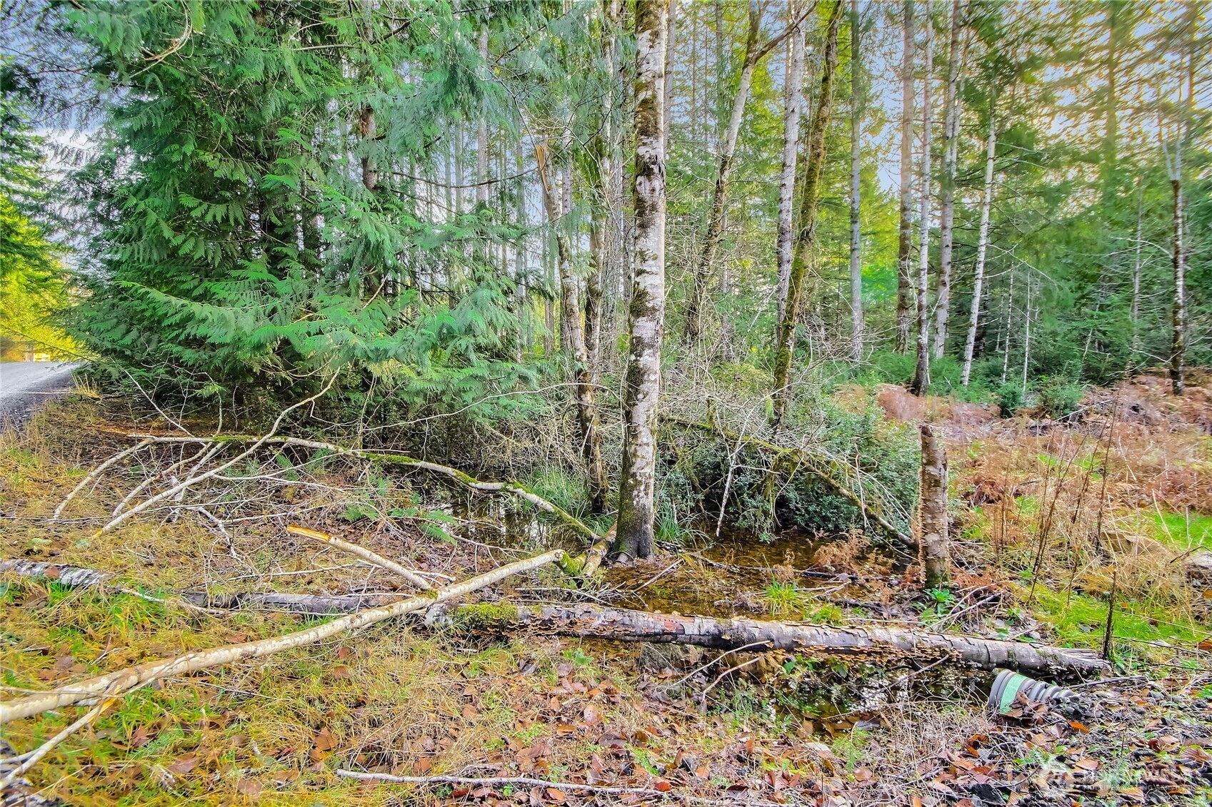 1 E Jared Road , Shelton, WA 98584