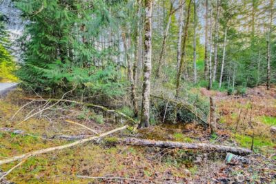 1 E Jared Road , Shelton, WA 98584 - Photo 9