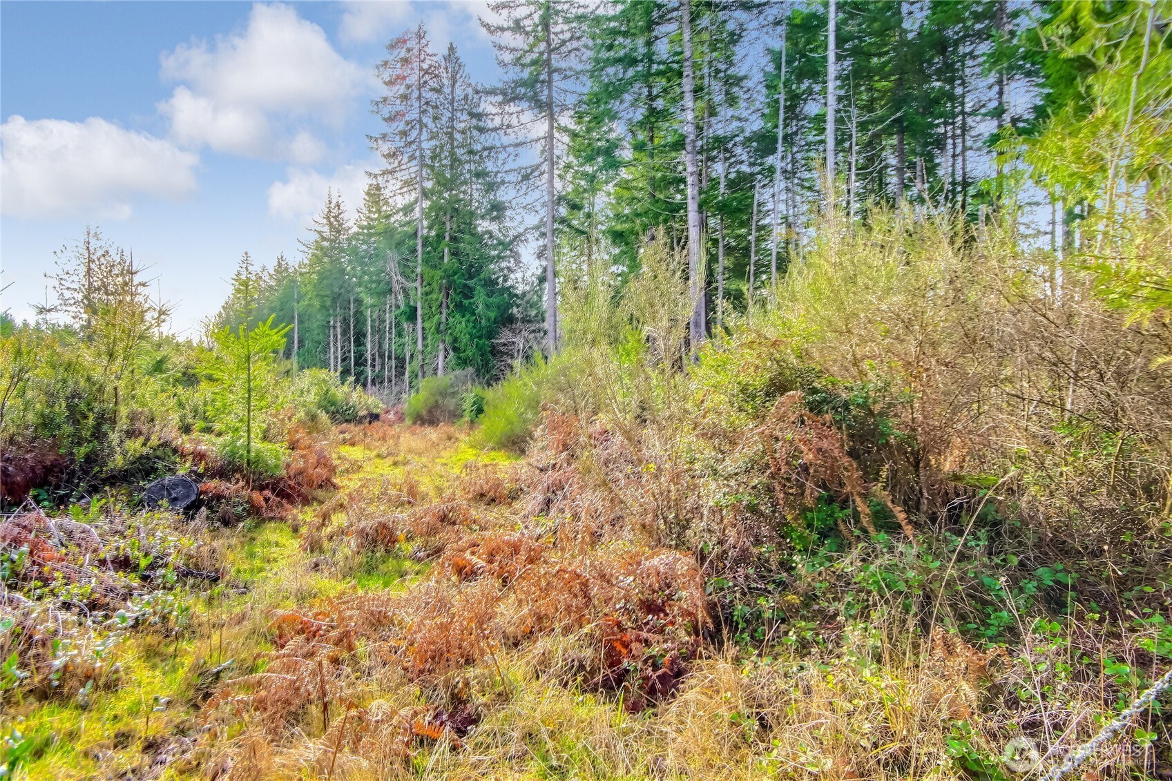 1 E Jared Road , Shelton, WA 98584