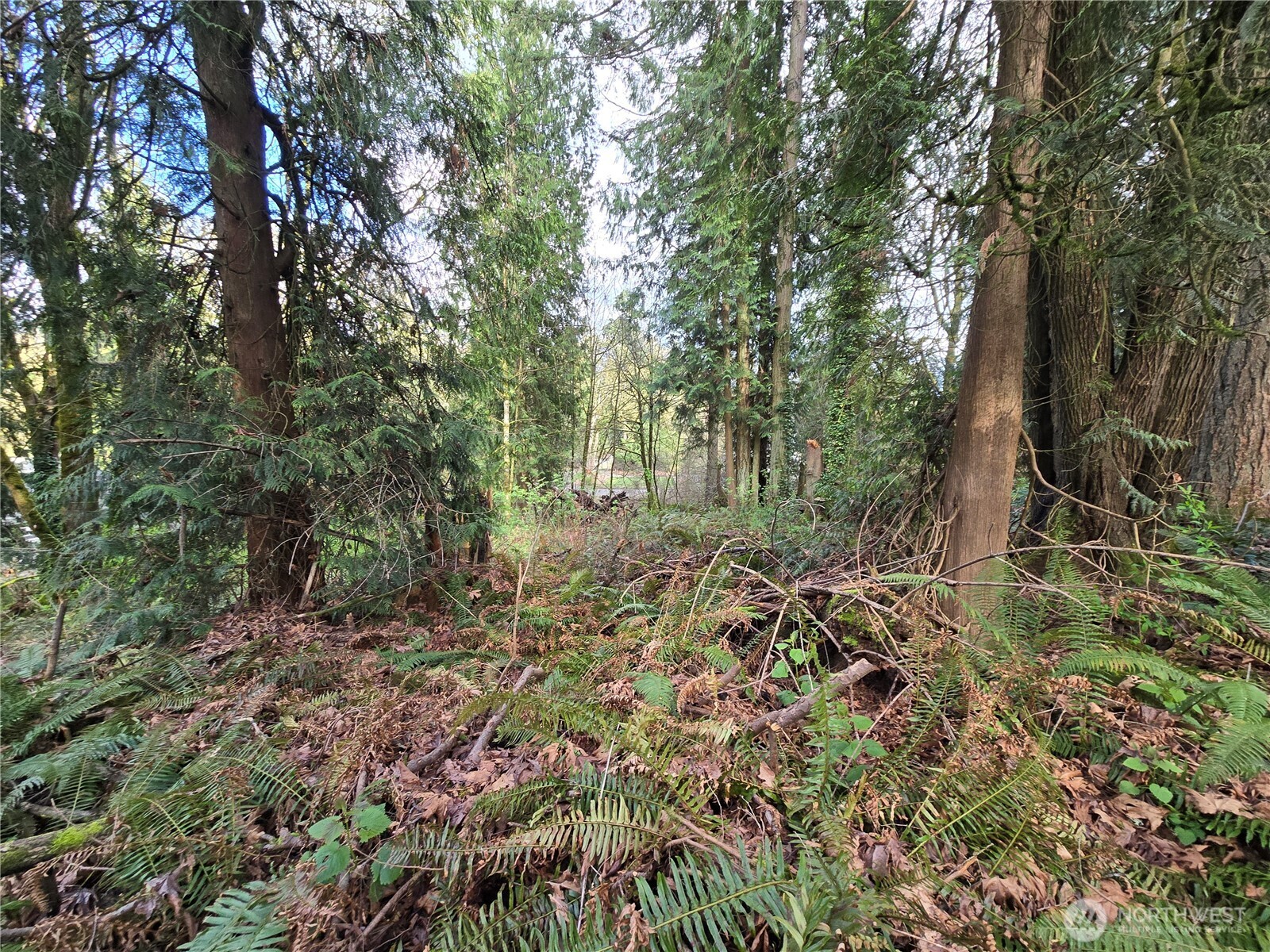 54 xx S 344th Street , Auburn, WA 98001