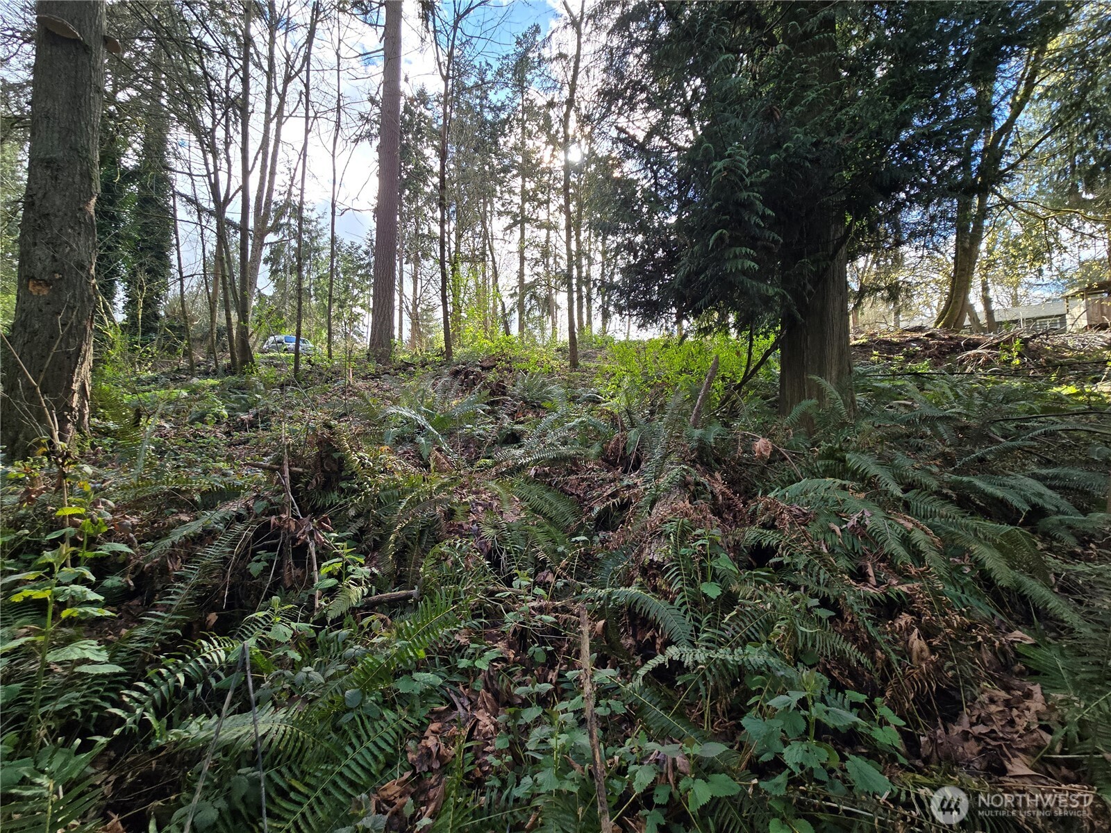 54 xx S 344th Street , Auburn, WA 98001