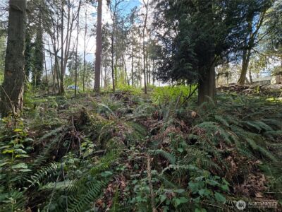 54 xx S 344th Street , Auburn, WA 98001 - Photo 12
