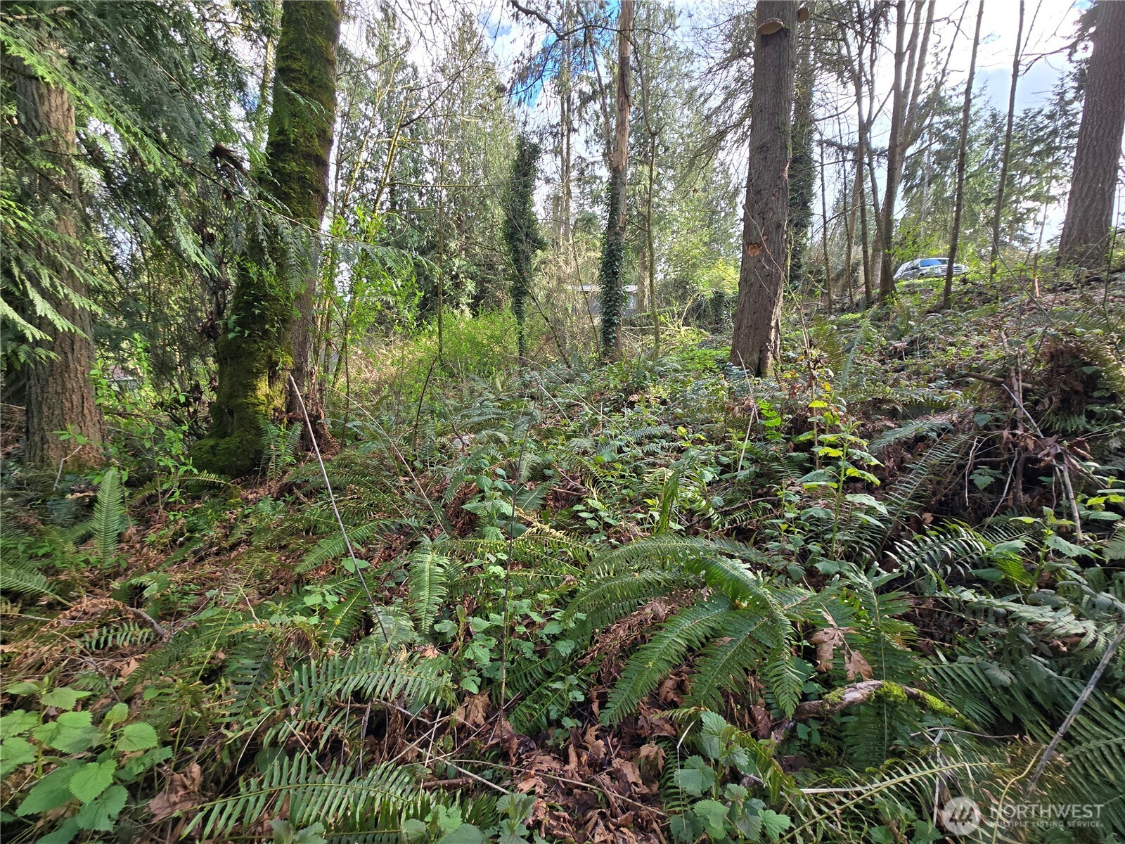 54 xx S 344th Street , Auburn, WA 98001