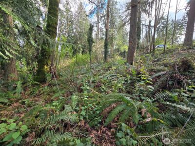54 xx S 344th Street , Auburn, WA 98001 - Photo 13